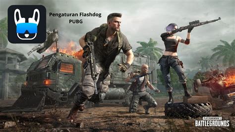 pengaturan flashdog pubg layanan vp cepat konten Yakin pilih ini otomatis terisi kembali puas cash melimpah yang viral image 1